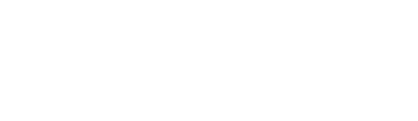 Default Logo